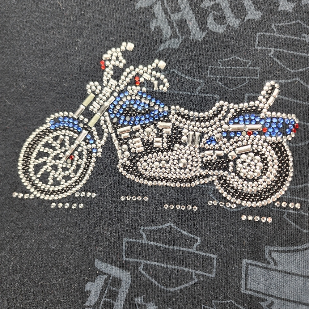 Harley-Davidson Women’s Virginia Beach, VA Tshirt Size 2x